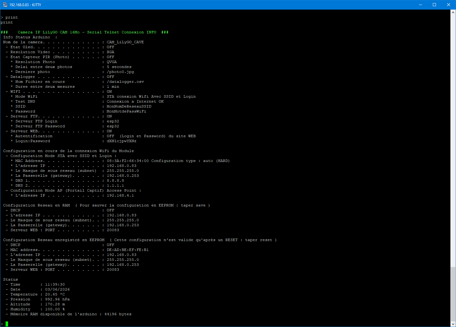 LilyGO Telnet Print